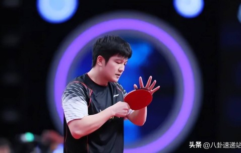 是金子总会发光,远赴德甲仅3个月,樊振东入选先进个人,太争气了